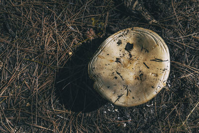 High angle view of broken glass on field