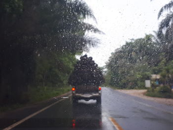 Road seen through wet glass window