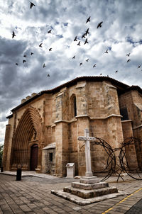 Birds flying over old building