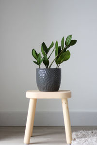 Close-up of potted plant on table against wall at home