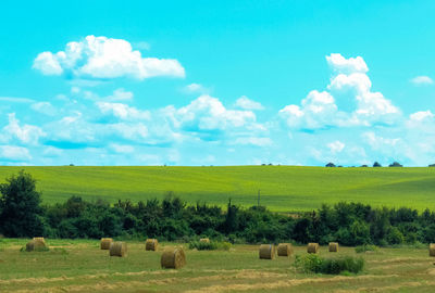 Sheep grazing on field against sky