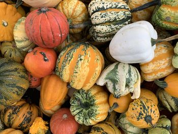 Full frame shot of pumpkins for sale at market stall
