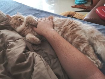Midsection of man sleeping dog