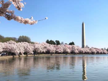 Scenic view of tidal basin  against sky cherry blossoms washington monument 