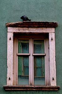 Closed door of old building