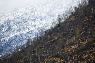 Scenic view of snowcapped mountains