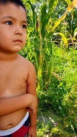 Portrait of shirtless boy standing against plants