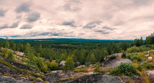 Scenic view of landscape against sky