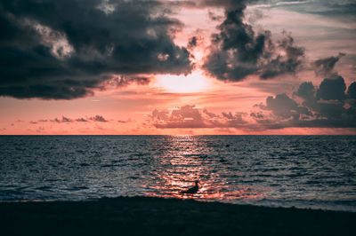 sky