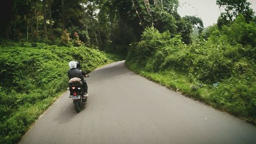 People walking on road