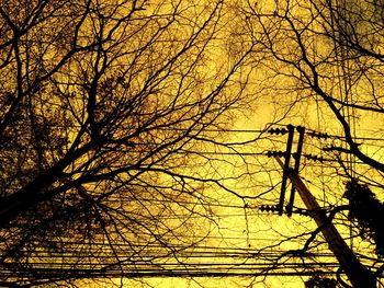 Low angle view of silhouette bare trees against sky