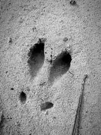 High angle view of footprints on sand