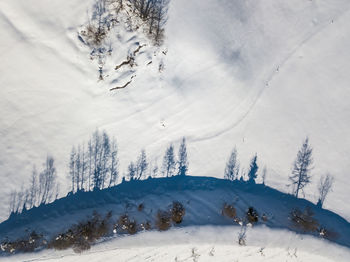 Scenic view of snow covered landscape