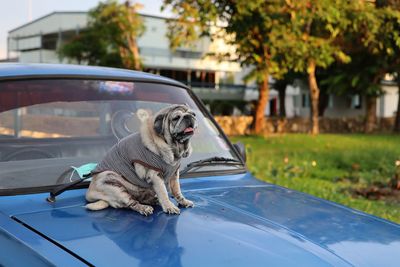 car