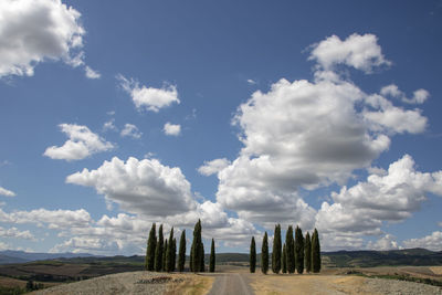 Panoramic view of field against sky