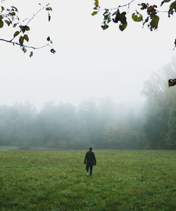 Rear view of man walking on field against sky