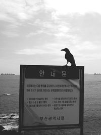 View of tree against sky
