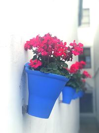 Close-up of red flower pot against wall