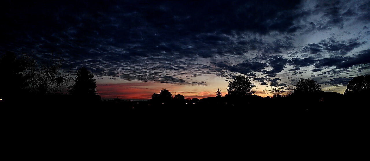 SILHOUETTE TREES AGAINST SKY AT SUNSET