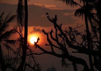 Silhouette trees against sky during sunset