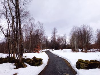 Snow covered landscape with trees in background