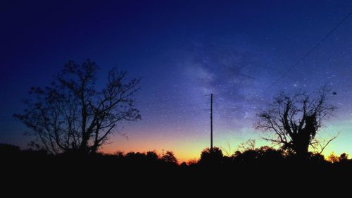 Low angle view of bare trees against sky