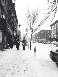 Snow covered trees in city