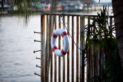 View of life belt hanging on metal gate at harbor