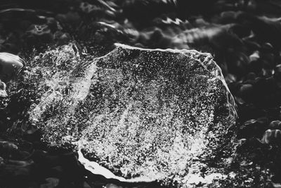 black and white