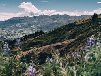 Scenic view of mountains against sky