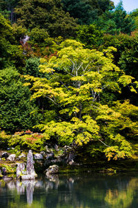 Scenic view of lake by trees against sky