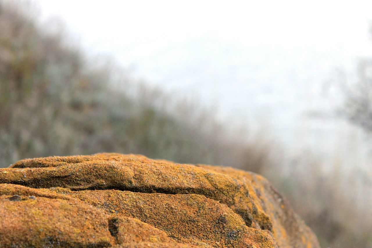 rock - object, focus on foreground, nature, tranquility, tranquil scene, rock, scenics, beauty in nature, rock formation, landscape, close-up, textured, rough, selective focus, non-urban scene, outdoors, day, sky, no people, natural pattern