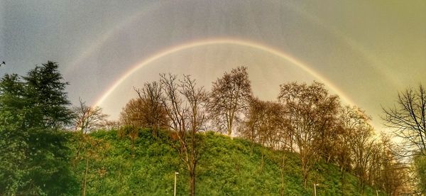 Scenic view of rainbow against sky