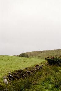 Scenic view of field against clear sky