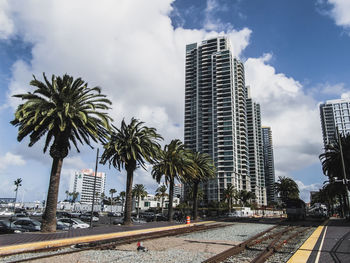 Palm trees and buildings against sky