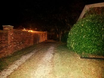 Narrow walkway leading towards illuminated plants at night