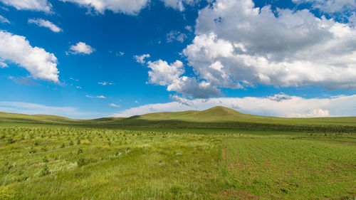 Scenic view of field against sky