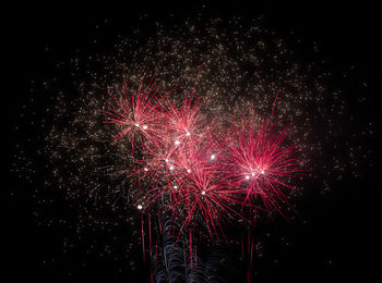 Low angle view of firework display at night