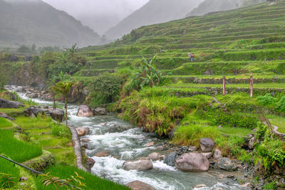 Scenic view of stream by mountains