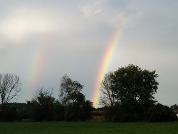 Scenic view of rainbow over trees on field against sky