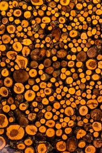 Full frame shot of logs in forest