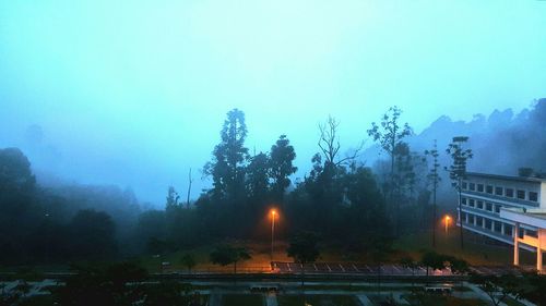 View of trees against sky