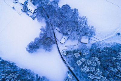 High angle view of snow covered trees