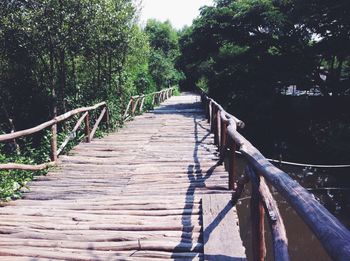 Footbridge in forest