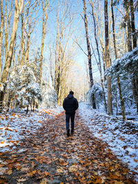 Rear view of man walking in snow covered forest