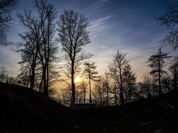 Bare trees at sunset