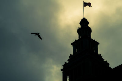 Low angle view of bird flying in sky