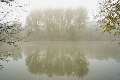 Reflection of trees in lake against sky