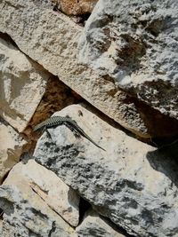 Full frame shot of stone wall