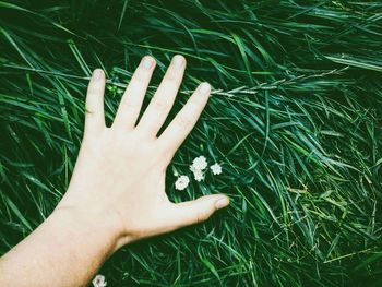 Cropped image of hand touching grassy field